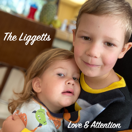 The Liggetts by The Liggetts 