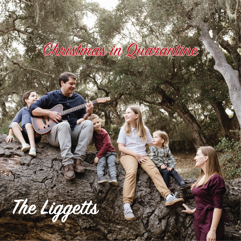 Christmas in Quarantine, 2020